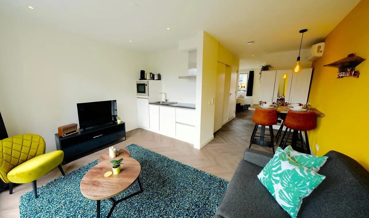 Sunny 45M2 Penthouse With Balcony And Terrace - R65C Apartment Eindhoven 0*,
